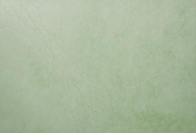 The primary subject of the image is a green wall with a textured surface. The setting is a room with a green wall, and the visual style is a close-up of the wall. The colors and mood of the image are predominantly green, creating a calm and soothing atmosphere.