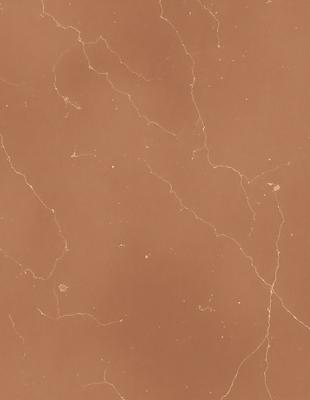 The image features a brown marble wall with a pattern of veins and cracks. The wall appears to be made of stone, giving it a natural and textured appearance. The primary subject of the image is the marble wall, which serves as the main focus of the scene. The setting is indoors, likely in a room or a building with a stone or marble theme. The visual style of the image is a close-up of the marble wall, showcasing its unique texture and pattern. The colors and m