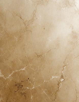 The image features a close-up of a marble wall with a brown and white color scheme. The marble wall has a textured surface, giving it a natural and elegant appearance. The wall appears to be in a bathroom, as it is a common material used for bathroom walls. The overall atmosphere of the image is one of sophistication and luxury.