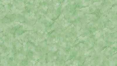 The primary subject of the image is a green, textured surface with a pattern of hexagons. The setting is a close-up of the surface, showcasing the intricate design. The visual style is a combination of a photo and digital art, as the image appears to be a close-up of a textured surface, but the hexagons are also described as digital art. The colors and mood of the image are predominantly green, with a slightly muted and earthy atmosphere.