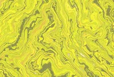 The primary subject of the image is a close-up of a yellow and green patterned wallpaper. The setting is a room with a yellow and green color scheme. The visual style is a patterned wallpaper, which gives the room a unique and vibrant atmosphere. The dominant colors are yellow and green, creating a lively and energetic mood.