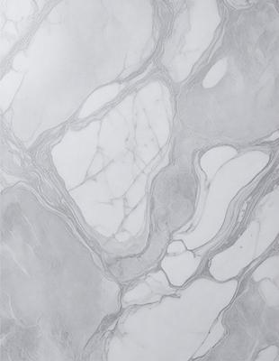 The image features a white marble countertop with a patterned design. The countertop is the primary subject, and it is set against a white background. The visual style is a close-up of the marble countertop, showcasing its intricate pattern. The colors and mood of the image are predominantly white, giving it a clean and elegant appearance.
