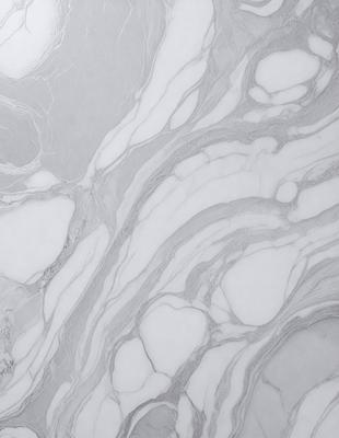 The primary subject of the image is a marble tile with a white and grey color scheme. The setting is a bathroom, as indicated by the presence of the marble tile. The visual style is a close-up of the marble tile, showcasing its intricate patterns and textures. The colors and mood of the image are predominantly neutral, with a touch of elegance and sophistication.