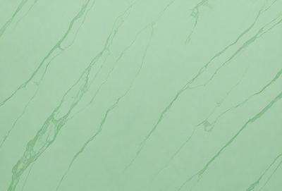 The primary subject of the image is a green marble wall. The setting is a room with a green marble wall, which serves as the background. The visual style is a photo, capturing the natural texture and color of the marble. The colors and mood of the image are predominantly green, creating a calm and serene atmosphere.