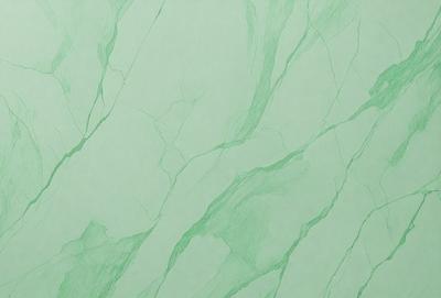 The primary subject of the image is a green marble wall with a pattern of swirls and lines. The setting is a room with a green marble wall as the main focus. The visual style is a close-up of the marble wall, showcasing its intricate design. The colors and mood of the image are predominantly green, giving it a natural and serene atmosphere.