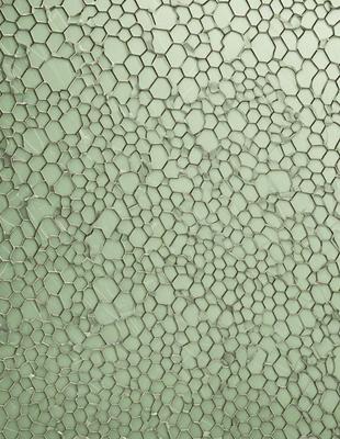 The primary subject of the image is a close-up of a green, textured wall. The setting is indoors, and the visual style appears to be a photo. The dominant colors are green and white, creating a calm and soothing atmosphere.