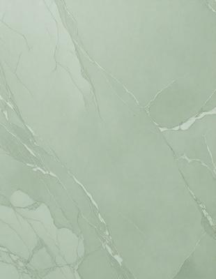 The primary subject of the image is a marble wall with a green tint. The setting is a room with a green tiled wall, and the visual style is a close-up of the wall. The colors and mood of the image are predominantly green, giving it a calm and serene atmosphere.