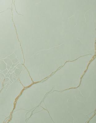The primary subject of the image is a close-up of a wall with a green background. The wall appears to be made of cement or a similar material, and it has a textured, slightly rough surface. The visual style of the image is a close-up, which emphasizes the details of the wall. The colors and mood of the image are predominantly green, giving it a calm and natural atmosphere.
