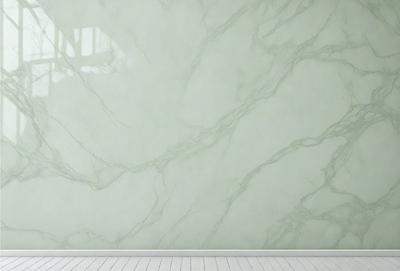 The primary subject of the image is a marble wall with a white background. The visual style is a photo, and the colors and mood are predominantly white and neutral.