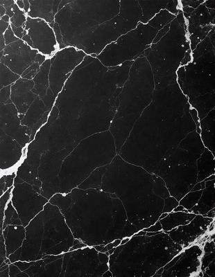 The image features a black and white marble surface with a pattern of white dots. The marble surface appears to be a countertop or a tabletop, and the dots create a visually interesting texture. The overall atmosphere of the image is elegant and sophisticated, with the black and white color scheme adding a timeless and classic touch.