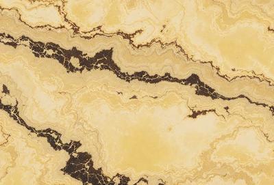 The primary subject of the image is a marble surface with a yellow and brown color scheme. The setting is a natural environment, possibly a stone or marble wall. The visual style is a close-up of the marble surface, showcasing its intricate patterns and textures. The colors and mood of the image are warm and earthy, evoking a sense of natural beauty and elegance.