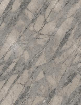 The primary subject of the image is a marble tile with a patterned design. The setting is a bathroom, as indicated by the presence of the marble tile. The visual style is a close-up of the tile, showcasing its intricate pattern. The colors and mood of the image are predominantly neutral, with the marble tile being the main focus.