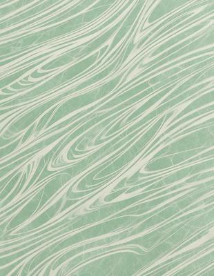 The primary subject of the image is a patterned wallpaper with a green background. The setting is a room with a wall covered in the patterned wallpaper. The visual style is a combination of a photo and digital art, creating a unique and interesting design. The colors and mood of the image are predominantly green, giving the space a calm and soothing atmosphere.