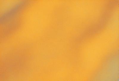 The primary subject of the image is a yellow background, which creates a warm and inviting atmosphere. The setting is a yellow wall, and the visual style is a close-up of the yellow wall. The colors and mood of the image are predominantly yellow, giving it a bright and cheerful appearance.
