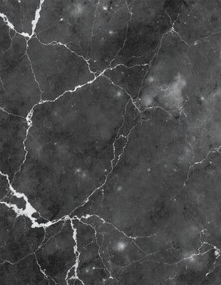 The primary subject of the image is a marble wall with a black and white pattern. The setting is a room with a black and white marble floor. The visual style is a black and white photo. The colors and mood of the image are predominantly black and white, giving it a classic and timeless appearance.