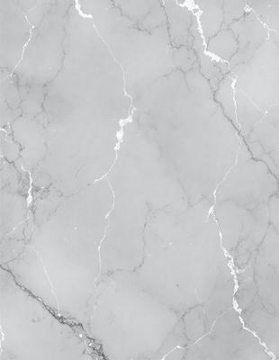 The image features a marble wall with a pattern of white and grey veins. The wall appears to be a part of a building, possibly a bathroom or a kitchen. The marble pattern creates a visually appealing and elegant atmosphere.