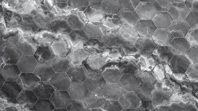 The primary subject of the image is a close-up of a black and white marble tile. The setting is a black and white marble tile surface. The visual style is a close-up of a marble tile. The colors and mood are black and white, giving the image a classic and elegant appearance.