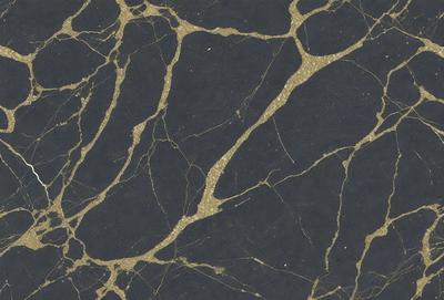 The primary subject of the image is a black and gold marble pattern. The setting is a black background, and the visual style appears to be a photo. The dominant colors are black and gold, creating a sophisticated and elegant atmosphere.