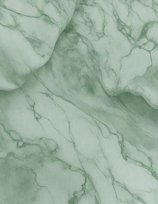 The primary subject of the image is a marble-like surface with a green hue. The setting is a close-up of the marble, showcasing its texture and pattern. The visual style is a realistic representation of the marble, capturing its natural beauty. The colors and mood of the image are predominantly green, giving it a serene and elegant appearance.