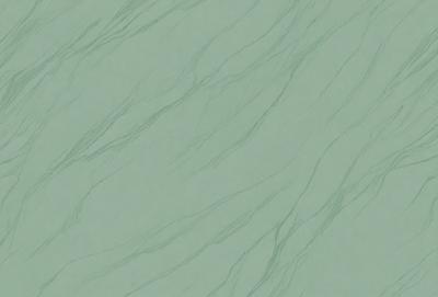 The primary subject of the image is a close-up of a green marble wall. The setting is a room with a green marble wall, which serves as the background. The visual style is a photo, capturing the intricate details of the marble wall. The colors and mood of the image are predominantly green, giving it a natural and serene atmosphere.
