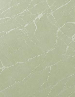 The primary subject of the image is a close-up of a marble wall with a green tint. The setting is a room with a green background. The visual style is a photo of the marble wall. The colors and mood of the image are predominantly green, giving it a calm and natural atmosphere.