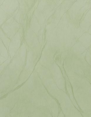 The primary subject of the image is a green wallpaper with a pattern of wavy lines. The setting is a room with a green wall, and the visual style is a patterned wallpaper. The colors and mood of the image are predominantly green, creating a calm and soothing atmosphere.