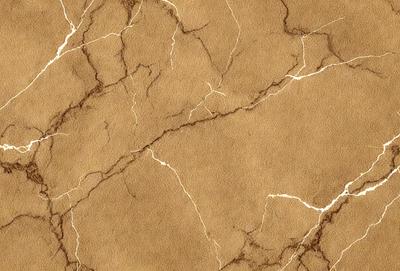 The primary subject of the image is a brown leather wallpaper with a marbled texture. The setting is a wall, and the visual style is a close-up of the wallpaper. The colors and mood of the image are warm and earthy, with the brown leather providing a rich and luxurious appearance.