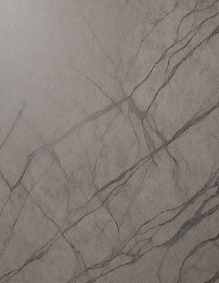 The primary subject of the image is a close-up of a marble wall with a pattern of veins. The setting is a room with a grey marble wall, and the visual style is a photo. The colors and mood of the image are predominantly grey, giving it a calm and sophisticated atmosphere.