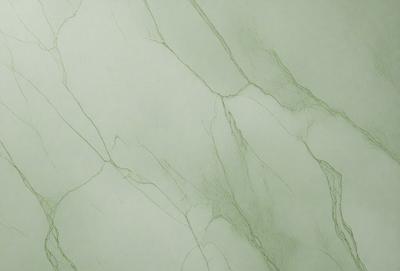 The primary subject of the image is a marble wall with a green tint. The setting is a room with a white background. The visual style is a drawing or illustration, giving the image a more artistic and detailed appearance. The colors and mood of the image are predominantly green, creating a calm and serene atmosphere.