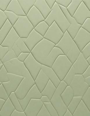 The primary subject of the image is a green wall with a pattern of cracks and crevices. The setting is a room with a green wall, and the visual style appears to be a photo of the wall. The dominant colors are green and white, creating a mood of calmness and tranquility.