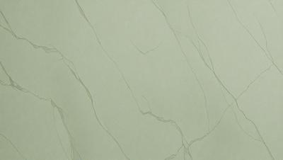 The primary subject of the image is a green marble wall. The setting is a room with a green marble wall as the main focus. The visual style is a close-up of the marble wall, showcasing its texture and color. The colors and mood of the image are predominantly green, giving it a natural and serene atmosphere.