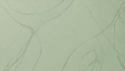 The primary subject of the image is a tree branch, which is the main object, scene, or focus of the image. The setting/background features a green wall, which adds to the overall atmosphere. The visual style of the image is a drawing or illustration, showcasing the tree branch in detail. The colors and mood of the image are predominantly green, creating a calm and serene atmosphere.