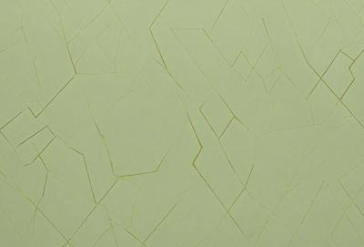 The primary subject of the image is a green wall with a pattern of peeling paint. The setting is a room with a green background. The visual style is a close-up of the wall, showcasing the peeling paint. The colors and mood of the image are predominantly green, with a slightly aged and worn appearance due to the peeling paint.