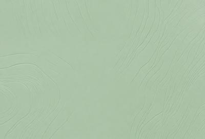 The primary subject of the image is a green wall with a patterned texture. The setting is a room with a green wall, and the visual style is a close-up of the wall. The colors and mood of the image are predominantly green, creating a calm and soothing atmosphere.