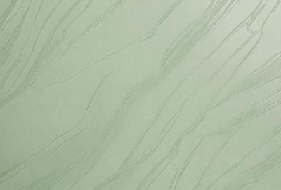 The primary subject of the image is a green wall with a patterned texture. The setting is a room with a green wall, and the visual style is a close-up of the wall. The colors and mood of the image are predominantly green, creating a calm and soothing atmosphere.