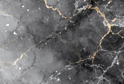 The primary subject of the image is a marble surface with a gold pattern. The setting is a black and white photo, which gives the image a classic and timeless appearance. The visual style is a close-up of the marble surface, showcasing the intricate gold pattern. The colors and mood of the image are predominantly black and white, with the gold pattern adding a touch of warmth and sophistication.