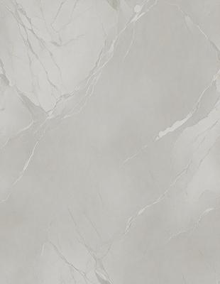 The image features a large, white marble tile with a patterned design. The tile is the primary subject of the image, and it is set against a white background. The visual style of the image is a close-up of the marble tile, showcasing its intricate pattern. The colors and mood of the image are predominantly white, giving it a clean and elegant appearance.