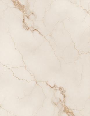 The primary subject of the image is a marble wall with a pattern of cracks and holes. The setting is a room with a white background. The visual style is a close-up of the marble wall, showcasing its unique texture and pattern. The colors and mood of the image are predominantly white, giving it a clean and elegant appearance.