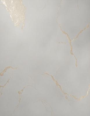 The primary subject of the image is a wall with a marble texture. The setting is a room with a white background. The visual style is a photo of the wall, showcasing the marble texture and the overall atmosphere is elegant and sophisticated.