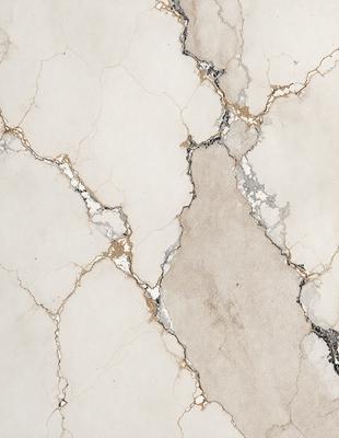 The image features a white marble wall with a pattern of holes and cracks. The wall appears to be a part of a bathroom, as it is described as a "bathroom wall." The holes and cracks in the marble create a unique and interesting texture, adding character to the space.