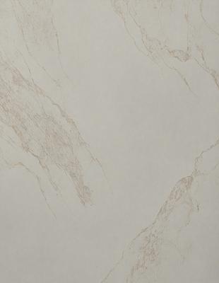 The primary subject of the image is a marble wall with a brown and white pattern. The setting is a room with a white background. The visual style is a close-up of the marble wall, showcasing its texture and pattern. The colors and mood of the image are predominantly white and brown, giving it a natural and elegant appearance.