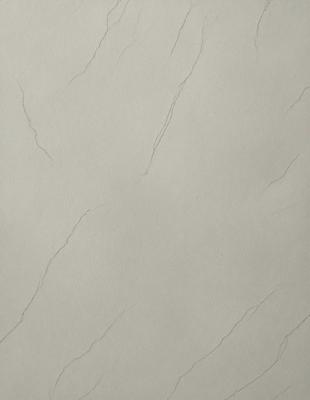 The primary subject of the image is a white wall with a marble texture. The setting is a room with a white background. The visual style is a close-up of the wall, showcasing the marble texture. The colors and mood of the image are predominantly white, giving it a clean and minimalist appearance.