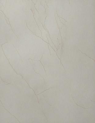 The primary subject of the image is a white marble wall with a pattern of veins and cracks. The setting is a room with a white background, and the visual style is a close-up of the marble wall. The colors and mood of the image are predominantly white, giving it a clean and elegant appearance.
