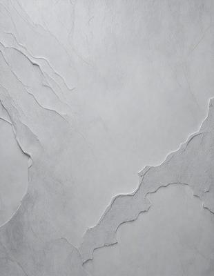 The primary subject of the image is a white wall with a textured surface. The setting is a room with a white wall, and the visual style is a close-up of the wall. The colors and mood of the image are predominantly white, giving it a clean and minimalist appearance.