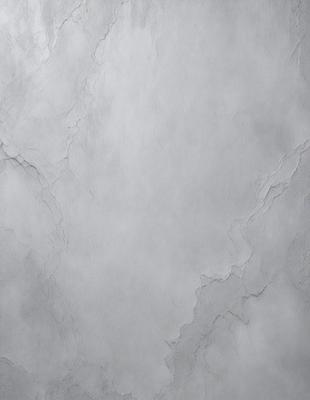 The primary subject of the image is a white wall with a marble texture. The setting is a room with a white background. The visual style is a close-up of the wall, showcasing the marble texture. The colors and mood of the image are predominantly white, giving it a clean and minimalist appearance.