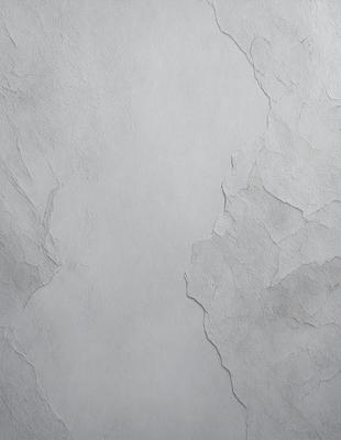 The primary subject of the image is a white wall with a peeling paint texture. The setting is a room with a peeling wall, and the visual style is a close-up of the wall. The dominant colors are white and grey, and the overall atmosphere is somewhat aged and worn.