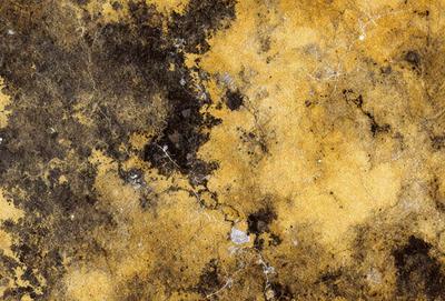 The primary subject of the image is a yellow and black marble-like surface. The setting is a stone wall, and the visual style appears to be a combination of a photo and digital art. The dominant colors are yellow and black, creating a bold and striking appearance. The overall atmosphere of the image is unique and eye-catching.