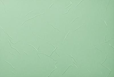 The primary subject of the image is a green wall with a peeling paint texture. The setting is a room with a green background. The visual style is a close-up of the wall, showcasing the peeling paint. The colors and mood of the image are predominantly green, with a slightly aged and worn appearance due to the peeling paint.