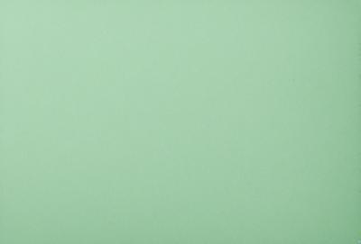 The image features a large, empty, and bright green wall. The wall is the primary subject of the image, and it appears to be a simple, uncluttered space. The setting is a room with a green background, which adds to the overall atmosphere of the image. The visual style is a close-up of the green wall, showcasing its color and texture. The colors and mood of the image are predominantly green, creating a calm and serene environment.