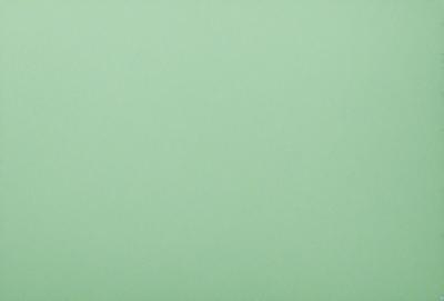 The primary subject of the image is a large, empty, and bright green wall. The setting is a room with a white background, and the visual style is a photo. The dominant colors are green and white, creating a calm and serene atmosphere.
